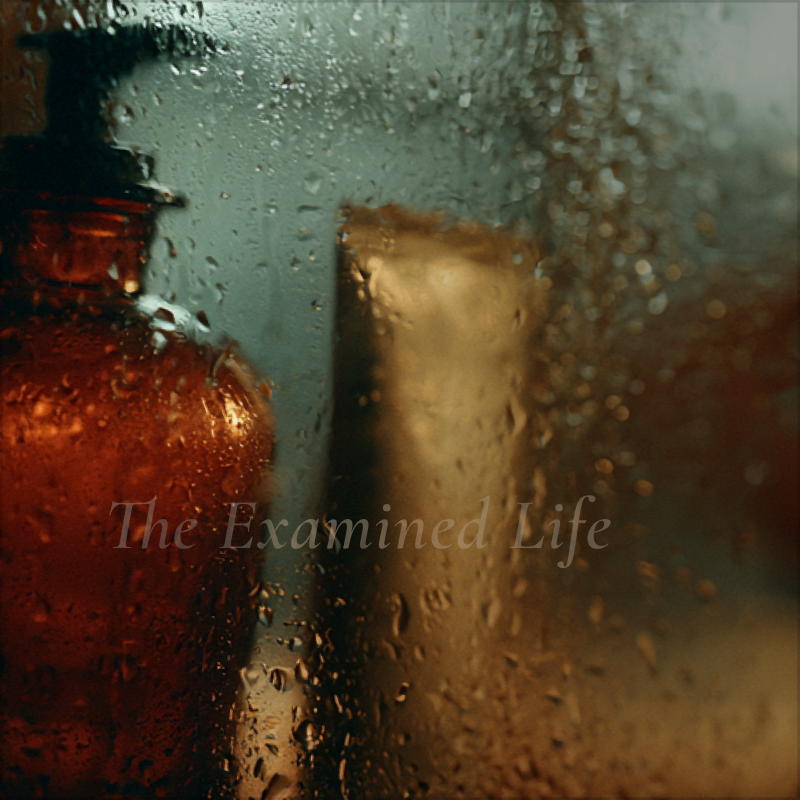 The Examined Life
