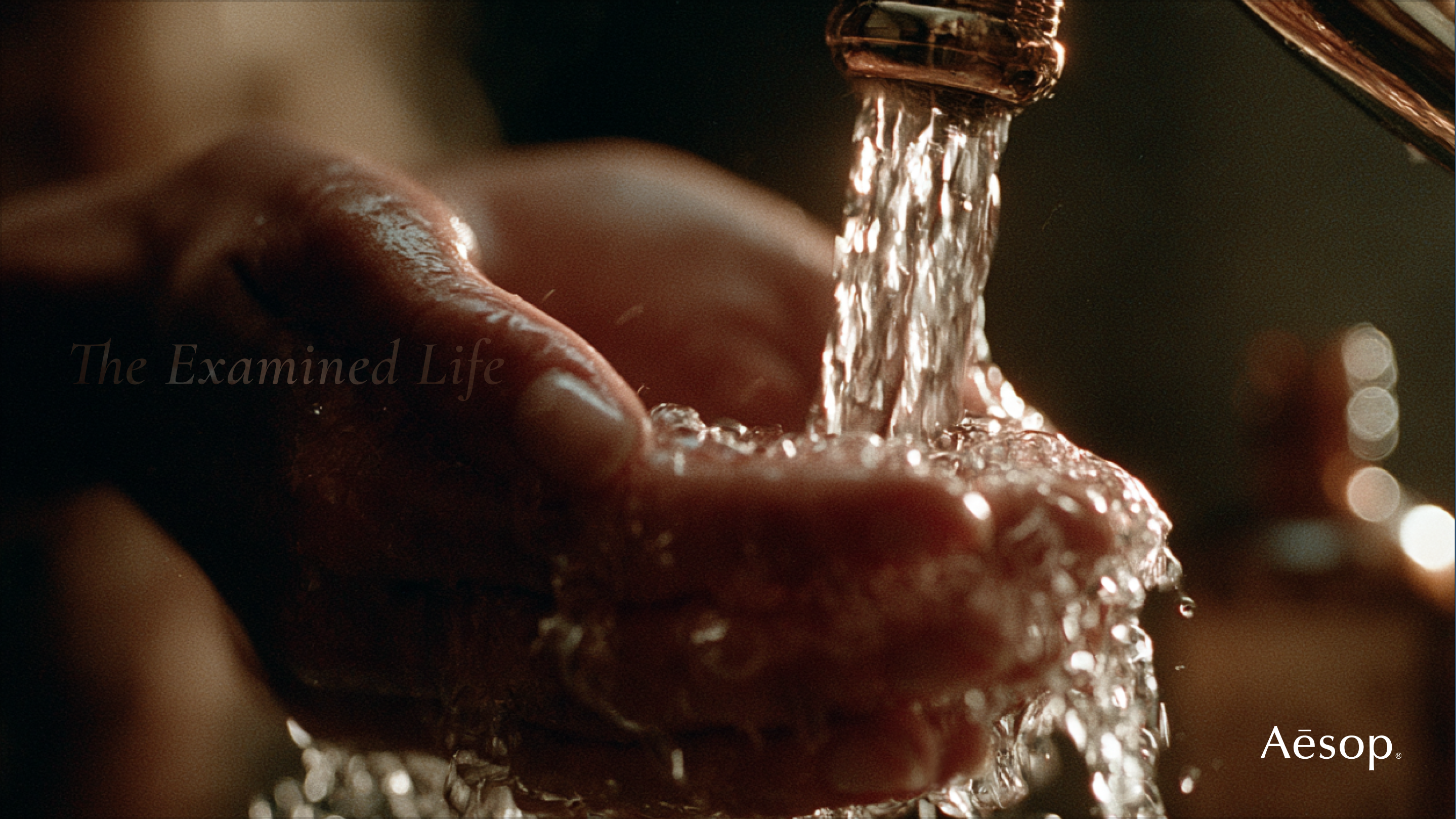 The Examined Life campaign