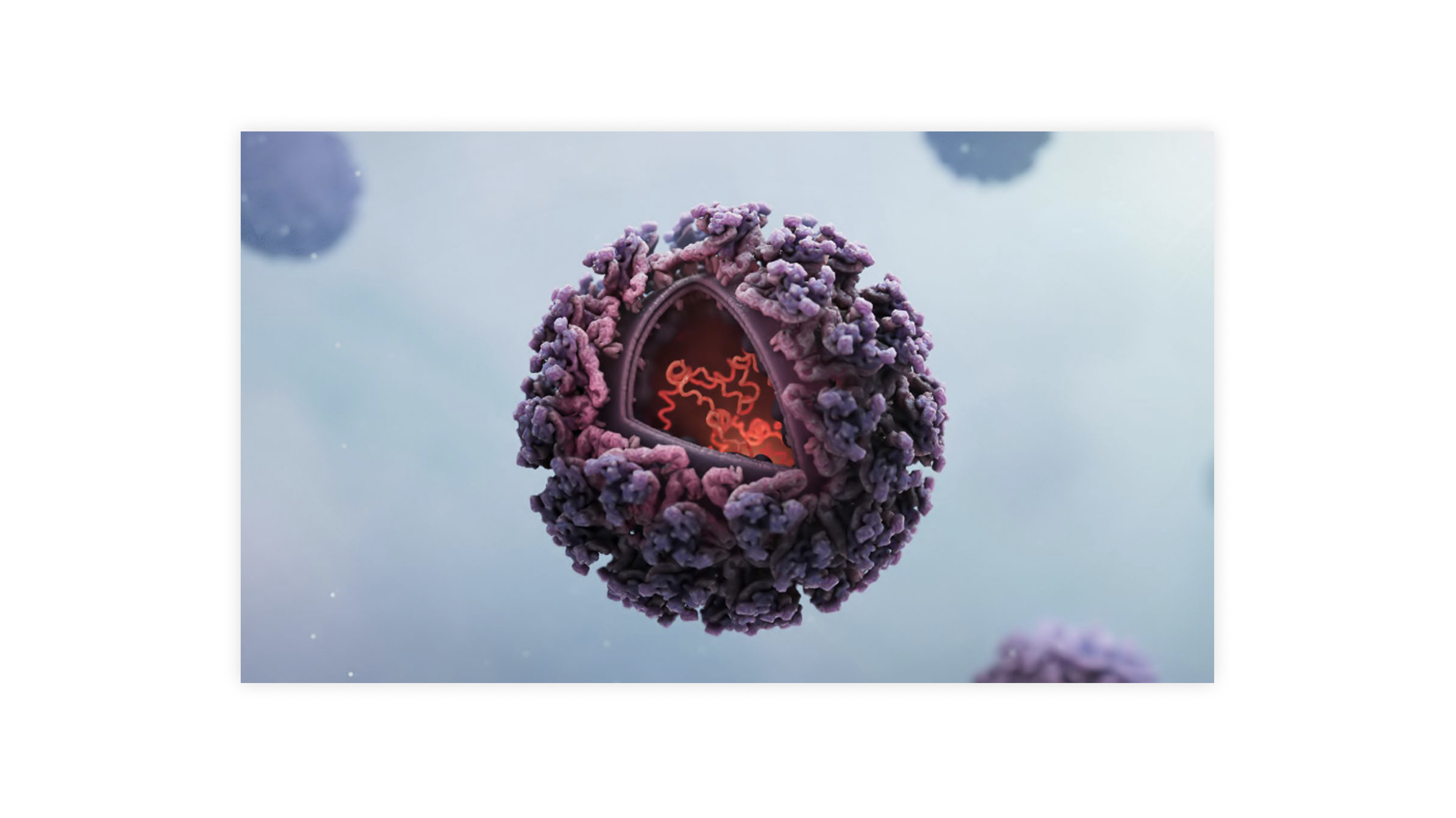 3D render — VLP cutaway showing no genetic material